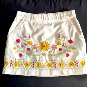 Adorable embroidered mini skirt